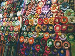 -more than meow吴止猫主题餐厅(承德 中船汇店)