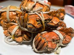 -杨氏青龙虾·羊肉季(金盛路总店)