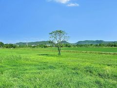 -良渚古城遗址公园