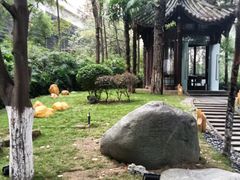 -大妙火锅·非物质文化遗产(东湖公园店)