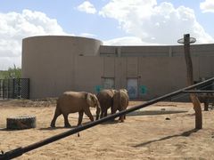 -鄂尔多斯野生动物园