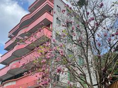 -南权皇烧鸡场