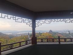 -大马弄蒋师傅美食酥鱼(察院前店)