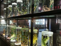 -广东中医药博物馆