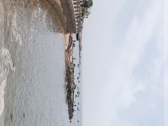 -小麦岛公园