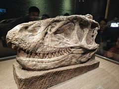 -自贡恐龙博物馆