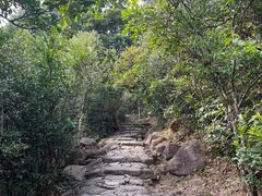 -狮子山郊野公园