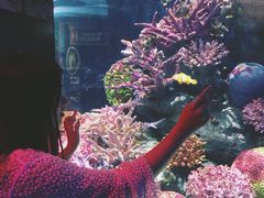 -暹罗海洋世界