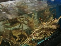 -鸿星花园酒家(银亿家园店)