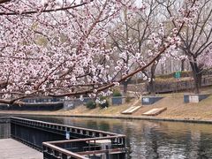 -安定门(地铁站)