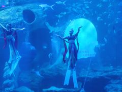 -多彩贵州城极地海洋世界