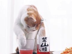 -华兴街煎蛋面(总店)