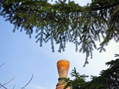 -高尔山公园