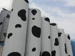 -蒙牛工业旅游景区