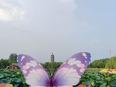 -西海子公园