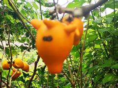 -优游吧斯邹族文化部落