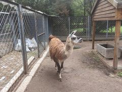 -长白岛森林公园