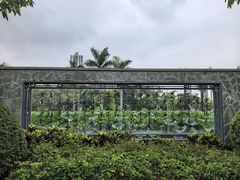 -厦门园林博览苑
