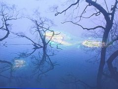 -大馆(前中区警署建築群)