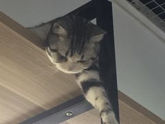 -小时光咖啡馆(开森度假森林店)