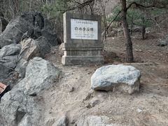 -白水寺森林公园