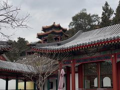 -宫事颐庭·老佛爷贵寿下午茶(颐和园店)