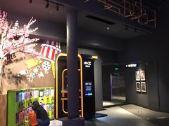 -新影联·华谊兄弟影院(望京店)