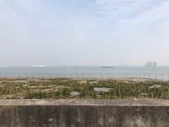 -海鸥岛