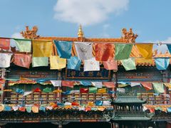 -大召无量寺