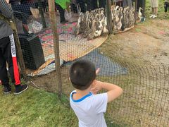 -武汉紫薇都市田园