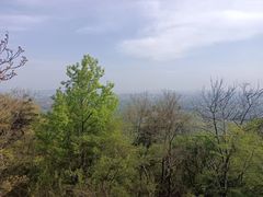 -紫金山山顶公园