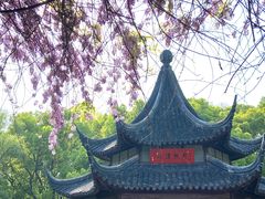 -西园戒幢律寺