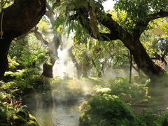 -Chom Cafe and Restaurant