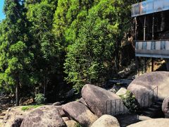 -玉苍山国家森林公园