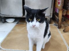 -华兴街自力面店