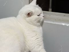 -博特宠物医院24h犬猫全科.骨科·异宠