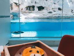 -帝企鹅自助餐厅•儿童岛•真企鹅(长隆企鹅酒店)