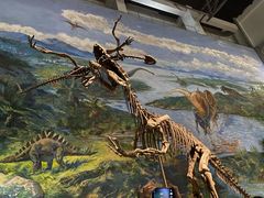 -自贡恐龙博物馆
