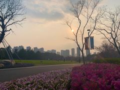 -青枫公园