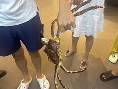 -渔家大院·烟台菜·本土海鲜(念慈别墅店)