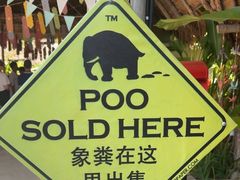 -大象粑粑造纸公园