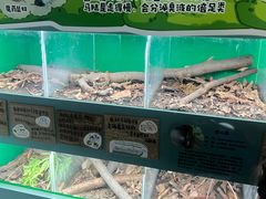 -上海大自然野生昆虫馆(东方明珠·爬宠昆虫探索中心)