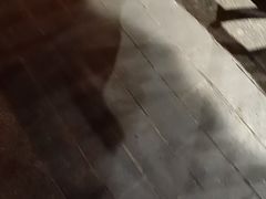-杨记隆府(南坪店)
