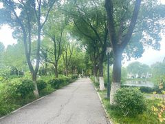 -金银湖国家城市湿地公园