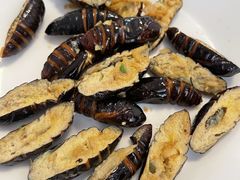 -好孕妈妈月嫂(哈尔滨总店)