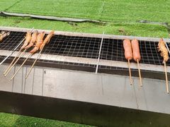 -尚庄度假村·庭台树下·户外烧烤·团建CS·轰趴营地(上庄水库店)