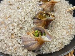 盐焗海螺-荣基四海一家·家常菜·海鲜大排档(新安店)
