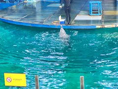 -苏州海洋馆