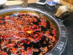 -渝大狮毛肚老火锅(普陀店)