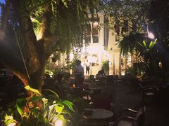 -Fern Forest Cafe
